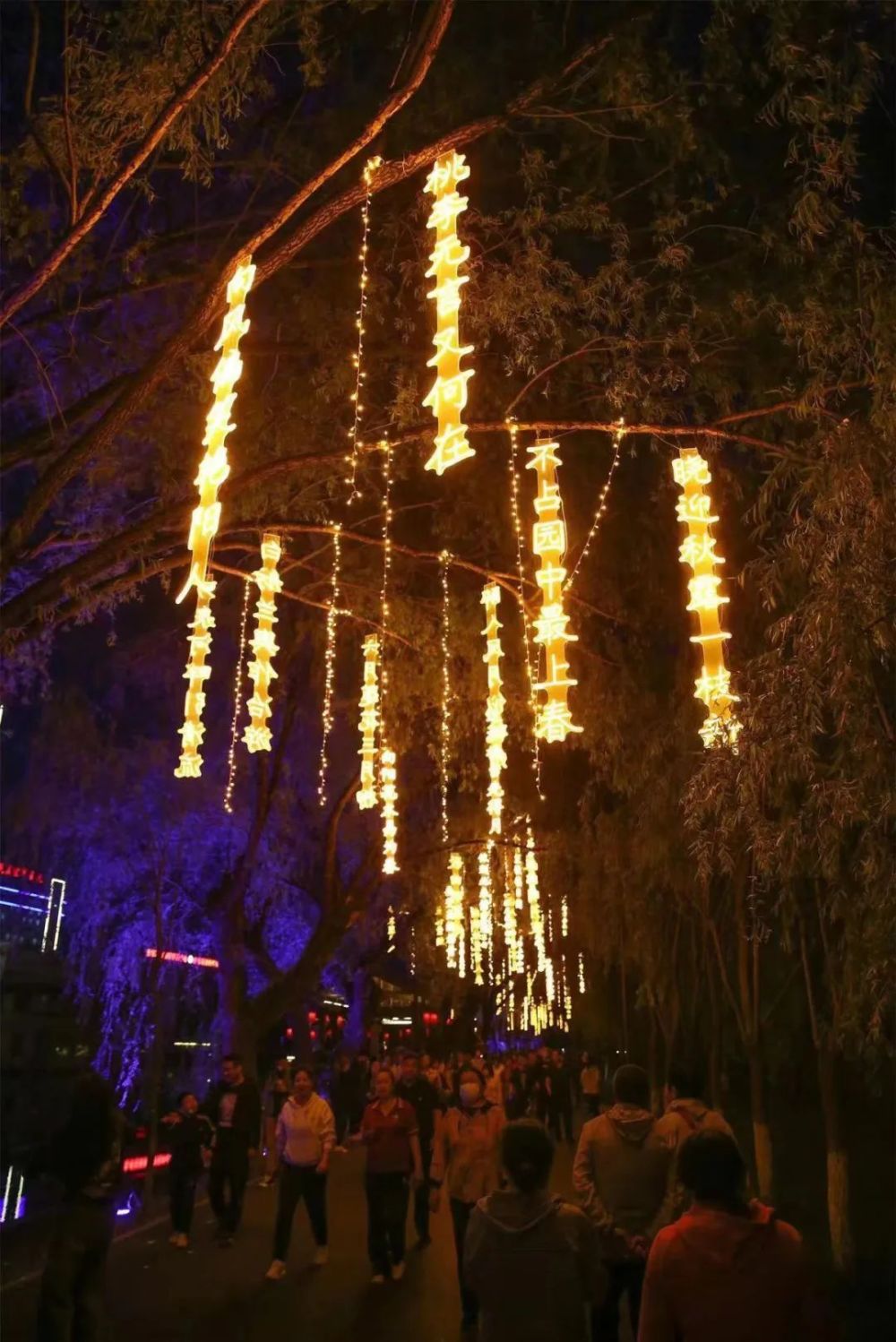 沈阳这个公园火出圈夜景美爆了你去打卡了么