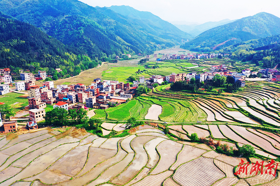 乡村田园春色美