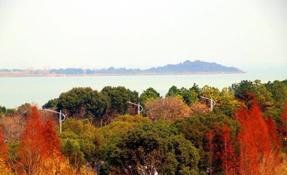 江苏苏州：太湖马山生态景区尽显冬日魅力_腾讯新闻