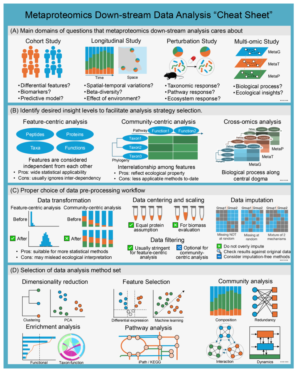 iMeta | 国际宏蛋白质组学倡议- 全球专家手把手教你用好宏蛋白质组学-腾讯新闻