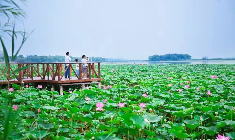 焦岗湖景区端午节"六大主题"活动等您来
