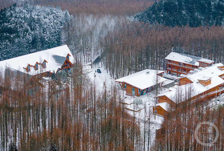 山王坪雪景惊艳来袭