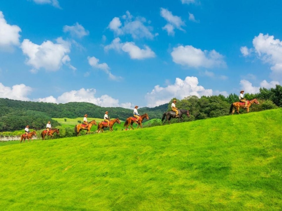 东北亚风景图片图片