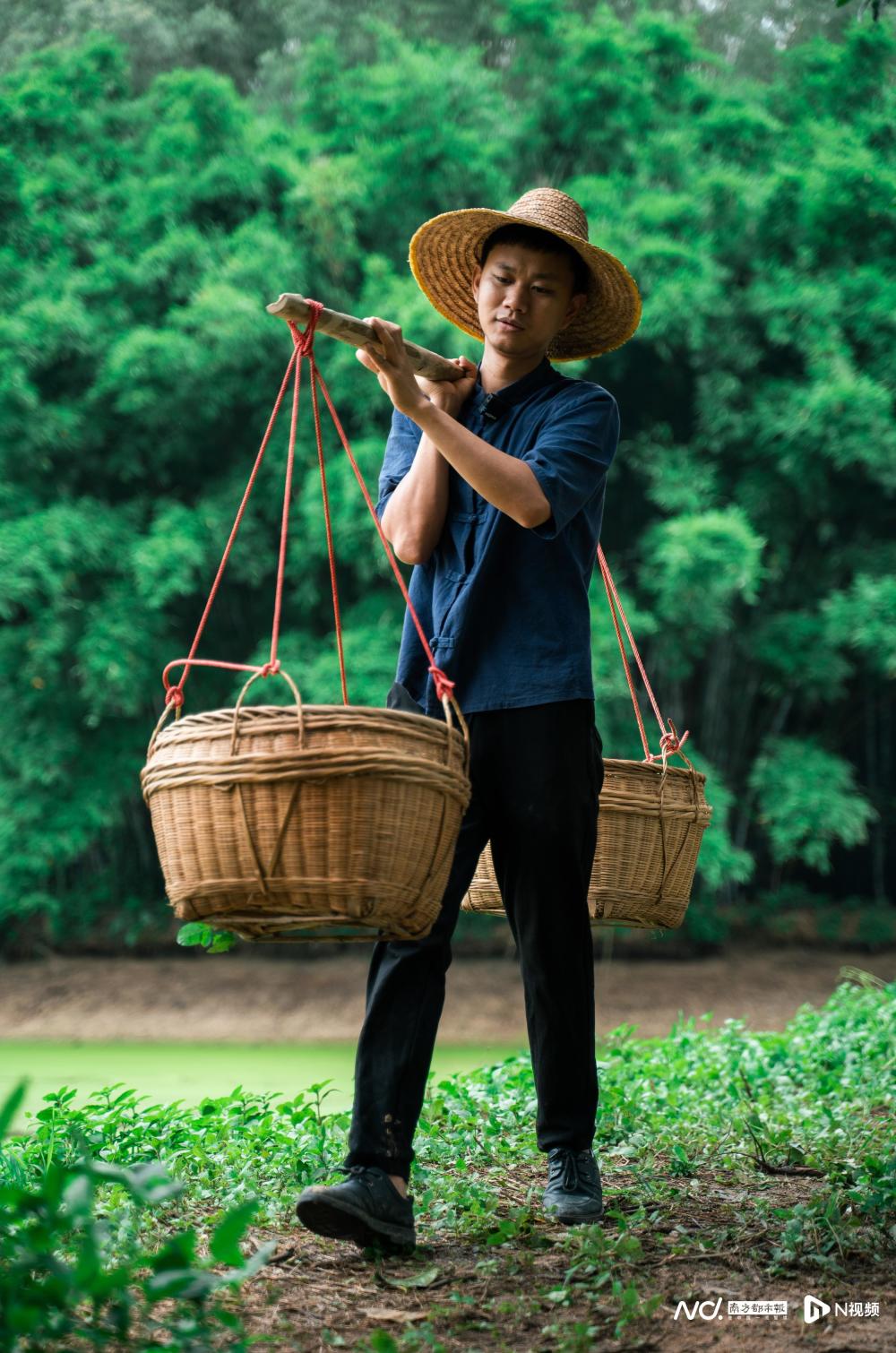 返乡种树振兴化橘红,90后全国人大代表与数十万粤西人的梦_腾讯新闻