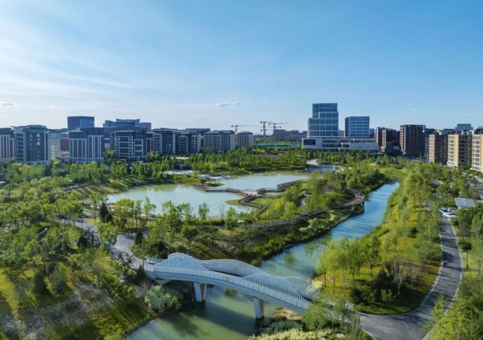 夏日雄安，邂逅生态公园的自然之美