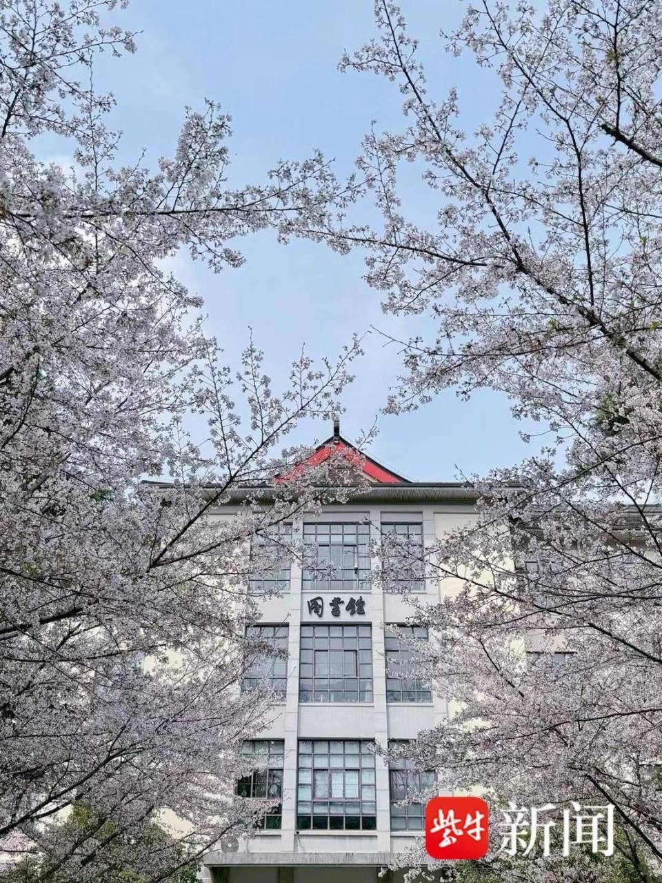 全新首页焕新登场