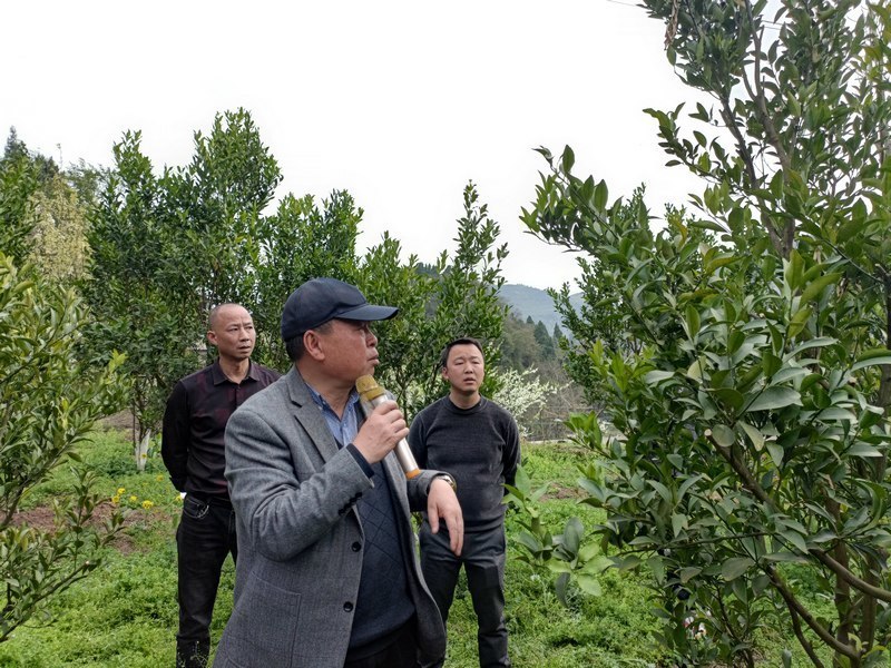 [南方生姜网-图片加载]