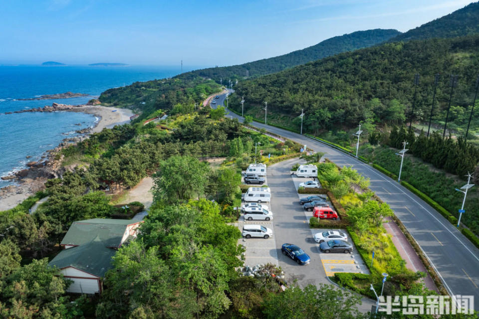 依山傍海,绿意盎然!青岛这条环岛路美了美了