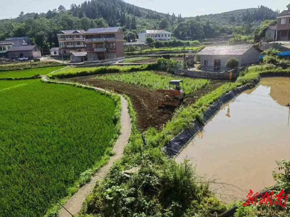 辰溪县船溪乡:耕地抛荒治理 唤醒"沉睡"耕地