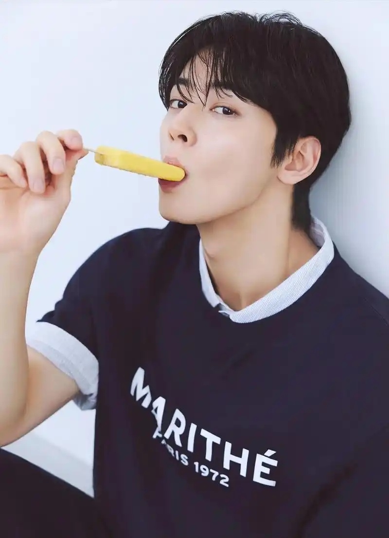 韩星车银优涉嫌逃税200亿韩元面临5年以上刑期及退圈危机-腾讯新闻