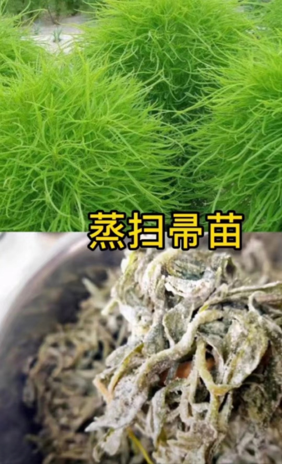 郑州电子智能化一级资质转让包过户手续(图1)