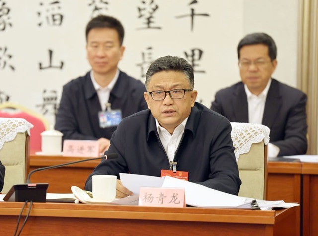 杨青龙代表让更多绿色颜值转化为金色产值