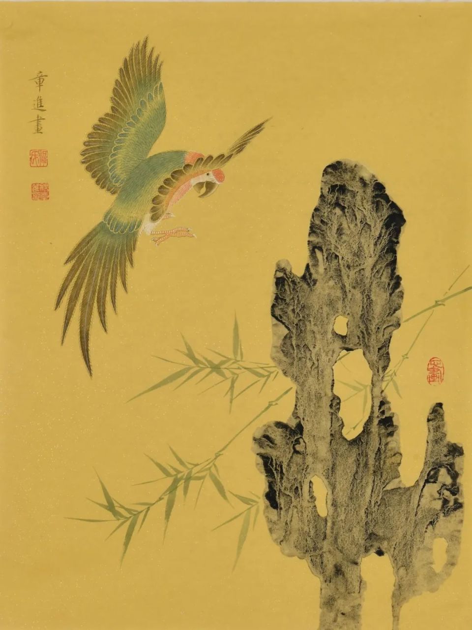 太湖石畔花鸟情丨杨章进