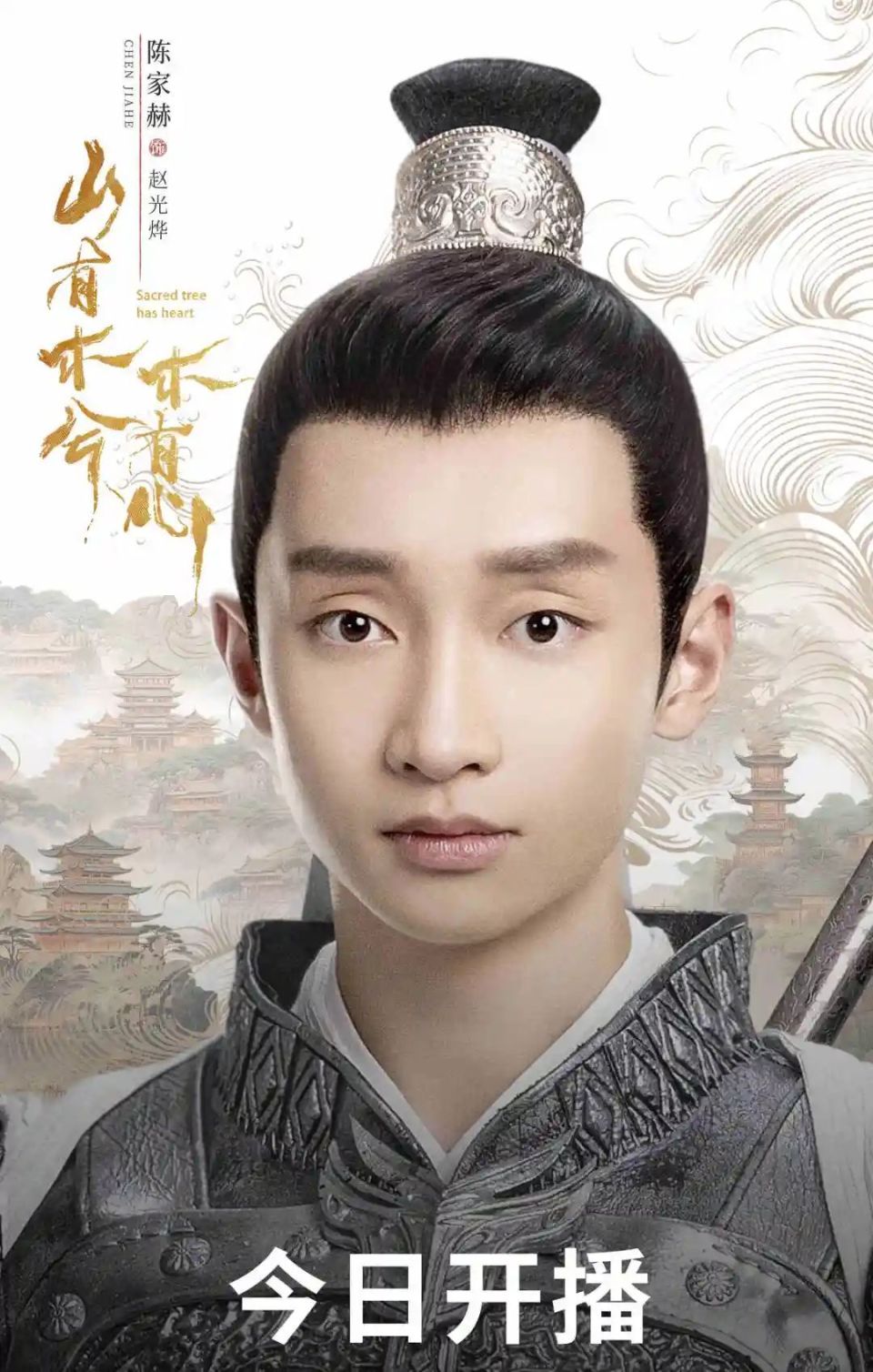 叫做陈家赫的男演员,一人分饰两角,同时饰演了腹黑机智的东临王赵光烨