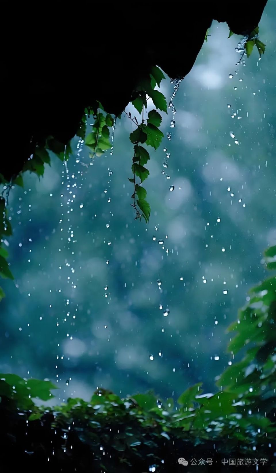 夜雨图片伤感图片