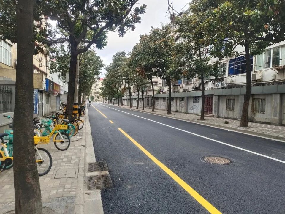 杨浦五条道路排水系统安全升级