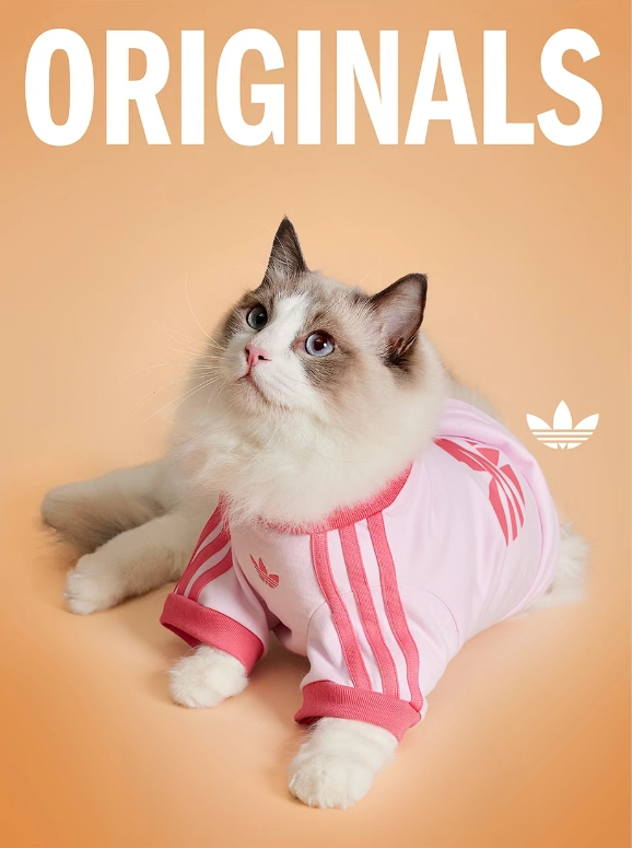 ͼƬ