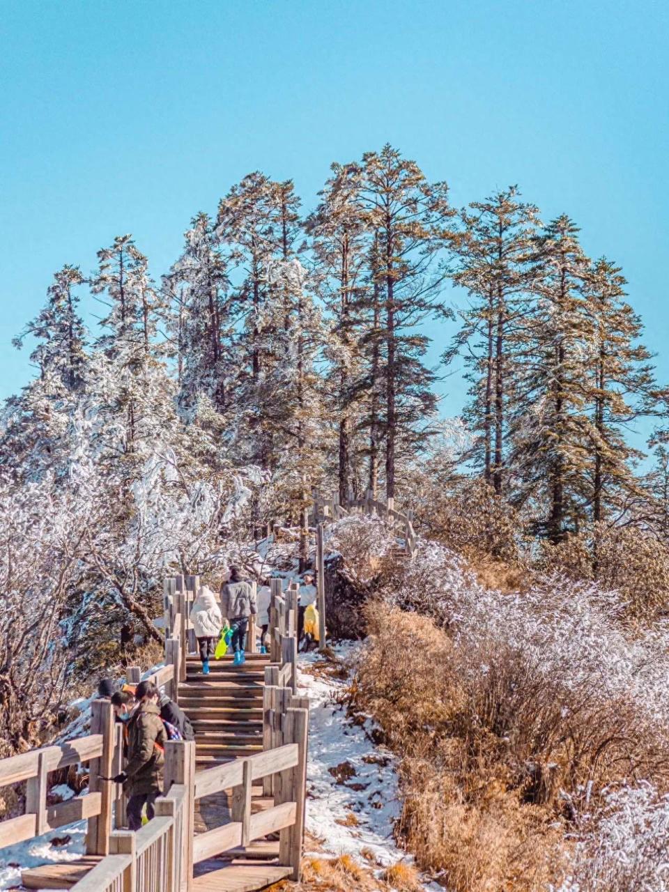 西岭雪山即将迎来最美雪景