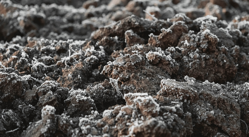 青藏高原的冻土化了怎么办探寻冻融荒漠化解决之道