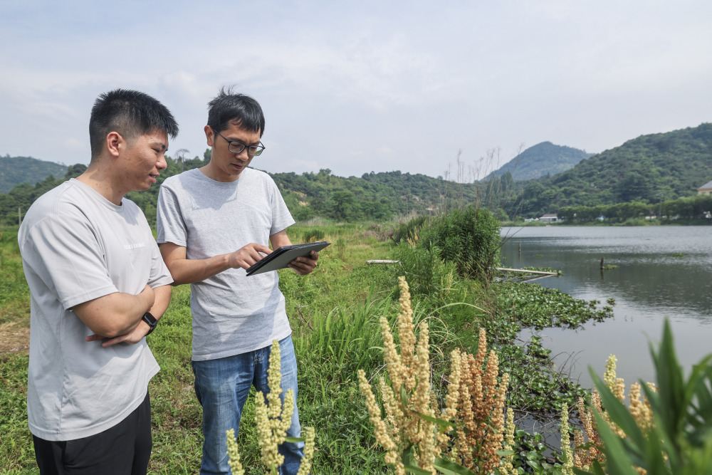 浙江慈溪:乡村规划师助力美丽乡村建设