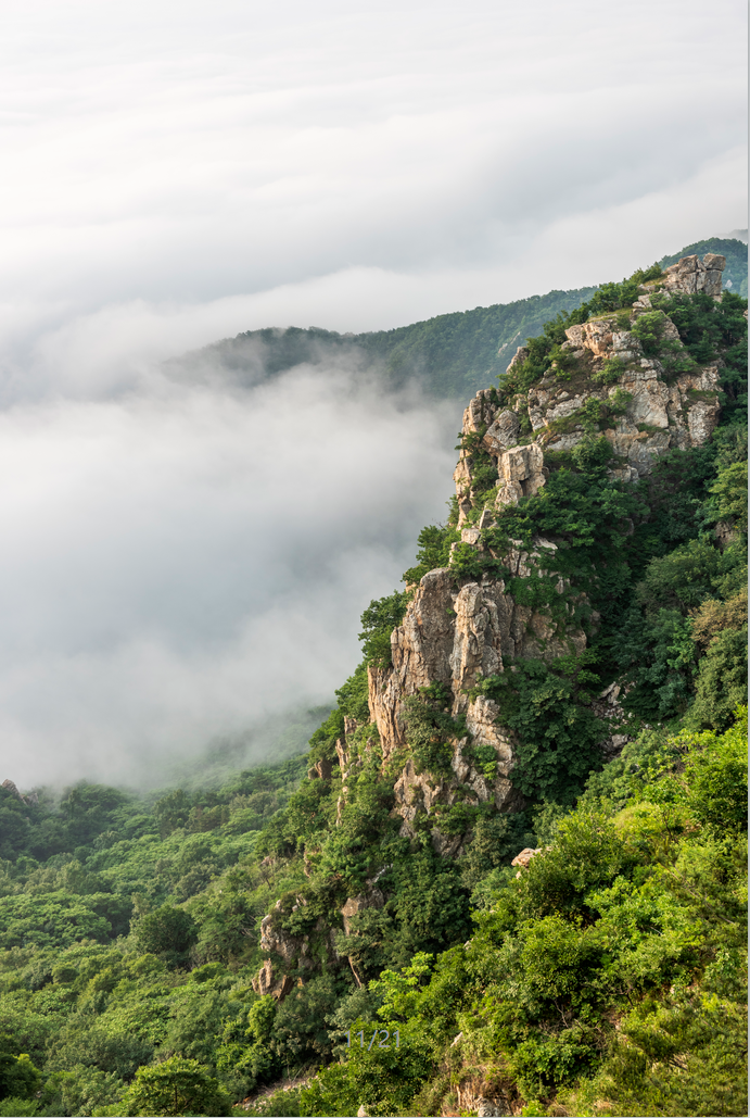 悦读 | 夏游大黑山