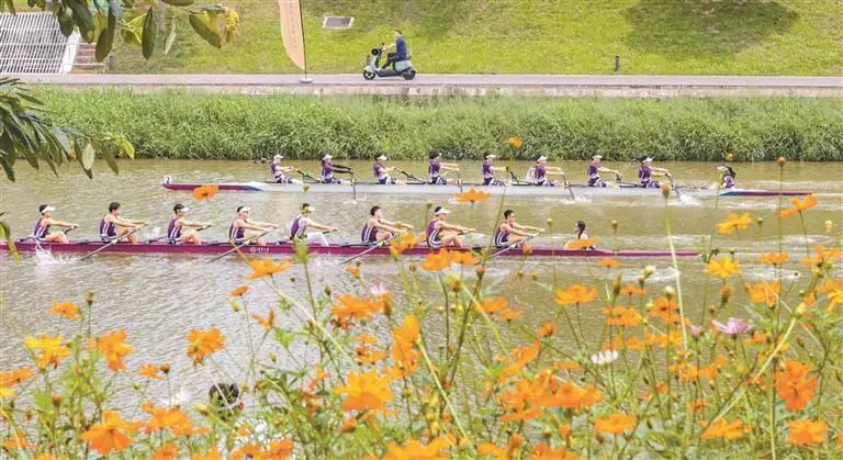 深圳一周 | 深圳各区书记区长这周都在忙啥?(5月13日- 5月19日)