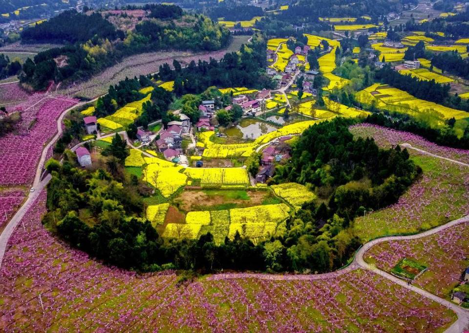 成都市金堂县春季踏青赏花地图来了