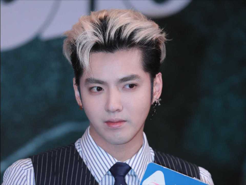 吴亦凡关联两公司仍拖欠共约500万税款