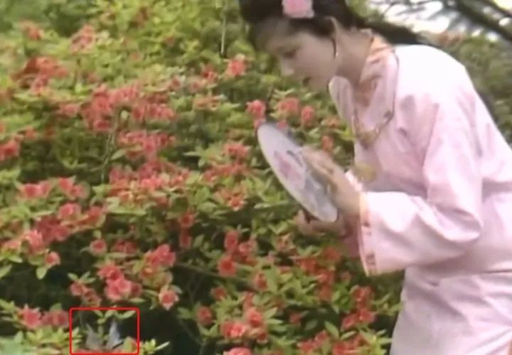 原班人马重聚，87版红楼梦35周年纪念音乐会下周登陆杭州大剧院！你知道这部经典电视剧“打卡”过杭州这些地方吗？(红楼梦30年音乐会没参加的演员是谁)