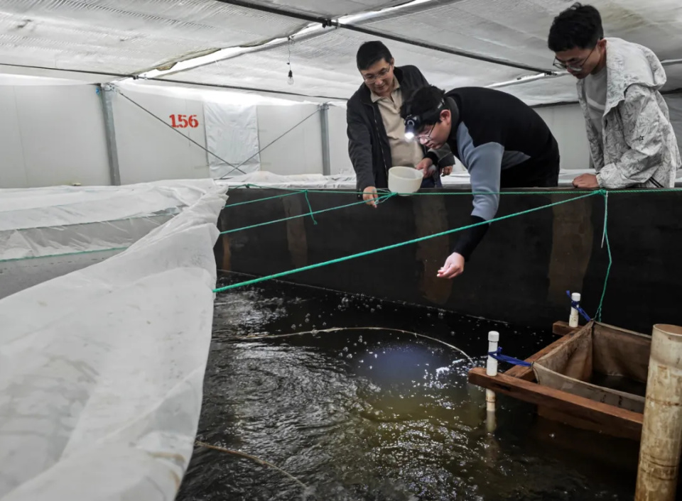 另一位是上海海洋大学教授,上海市南美白对虾产业技术体系首席专家戴