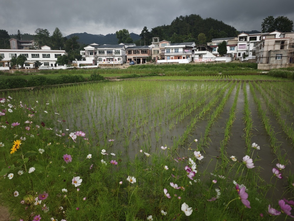 黔陶龙辉山庄度假村图片