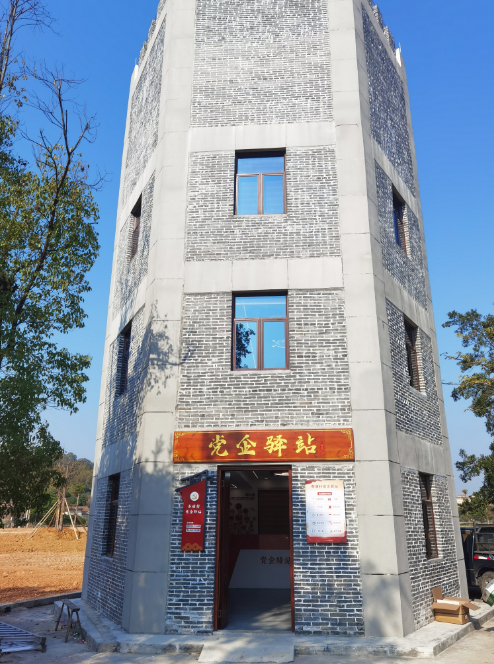 "头雁先锋"系列报道 | 汤国英:做好"领头雁"   共享"振兴果"