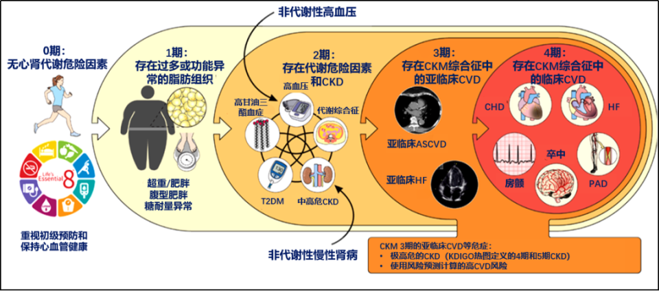 JAMA：美国有近90%成年人患CKM！中国人群数据如何？_腾讯新闻