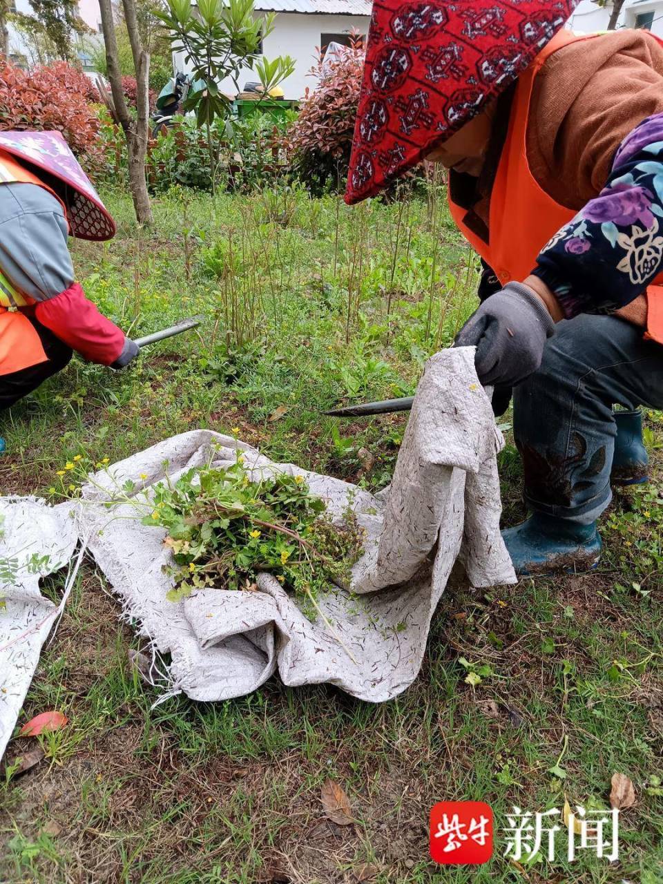 人居环境长效保持,幸福指数继续提升!