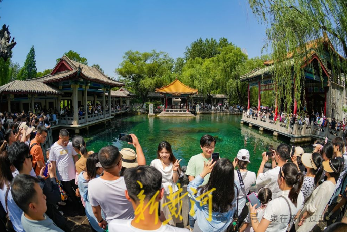 人人人人人人……济南这些打卡地,观泉,纳凉,赏花,挺火热