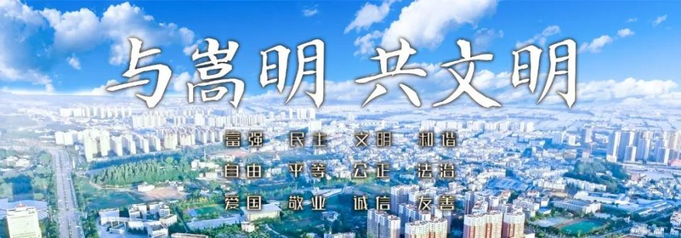 嵩明县开展一季度党政主要领导"公开大接访"活动_腾讯新闻