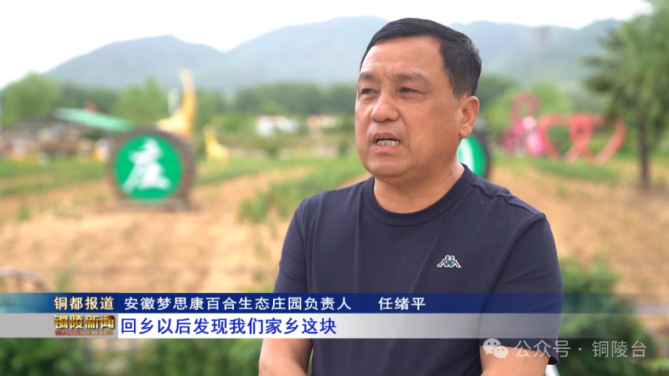 【全面推进乡村振兴】义安区:春暖"雁"归来