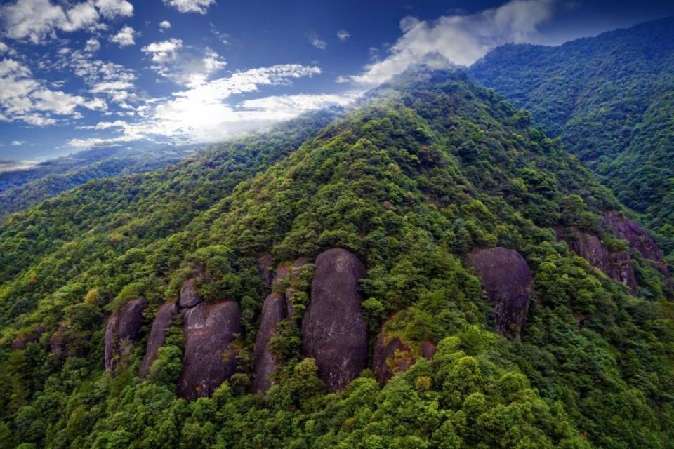 初夏游丽水:浙西南原始秘境  遂昌九龙山