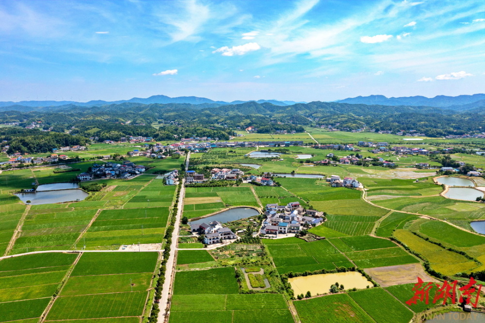 綠水青山楊林鄉