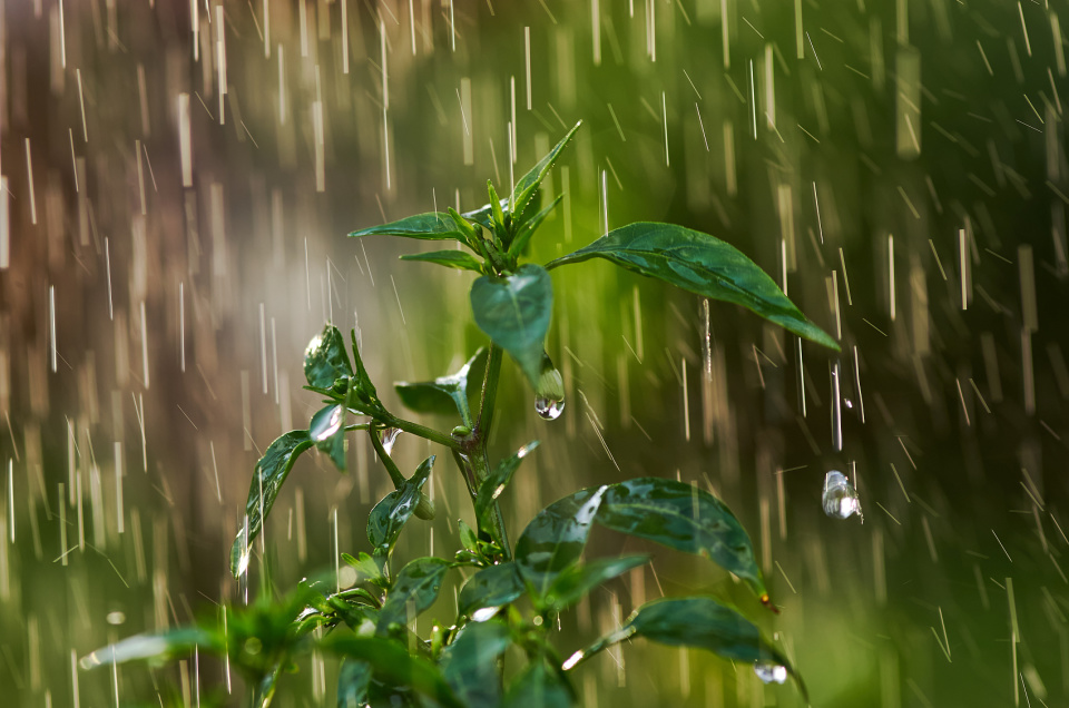 表示下雨的图片图片