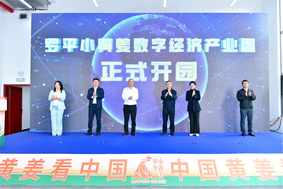 [南方生姜网-图片加载]