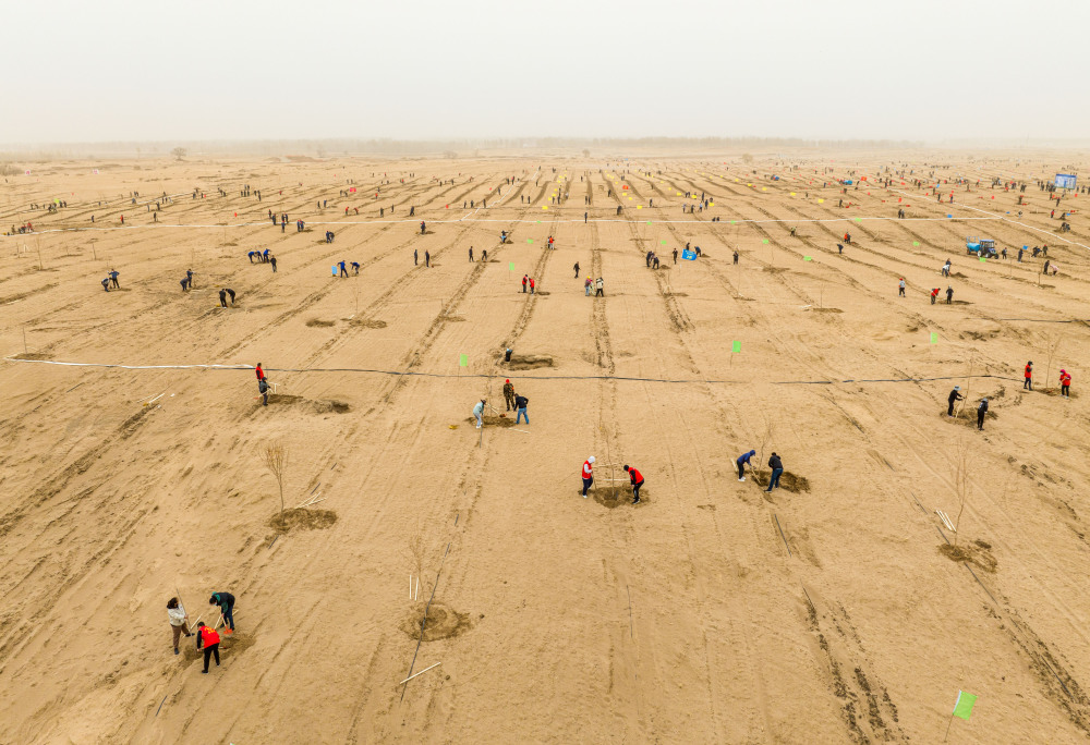 内蒙古科右中旗为沙化土地披上绿装