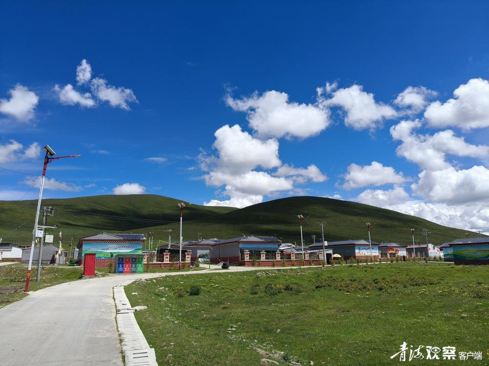 7月18日,果洛州班玛县江日堂乡蔬菜大棚种植基地内,一排排绿