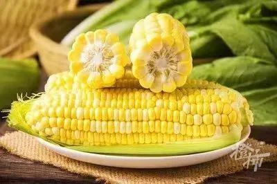 蠡玉133玉米品种简历图片