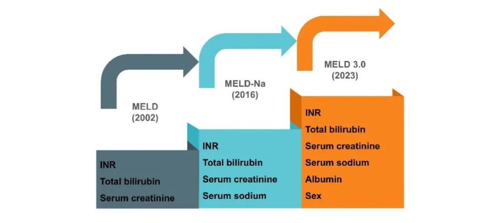 JCTH｜MELD 3.0：肝病评分的再度革新与应用_腾讯新闻