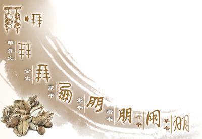 从贝币两串到志同道合，“朋”字的演变你了解吗？_腾讯新闻