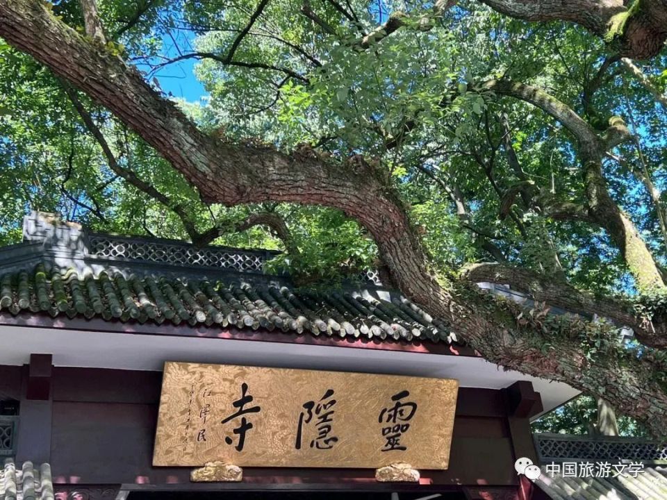 循著醇厚悠遠的誦經聲,我走進靈隱寺,它是杭州最古老的佛教古寺,面朝