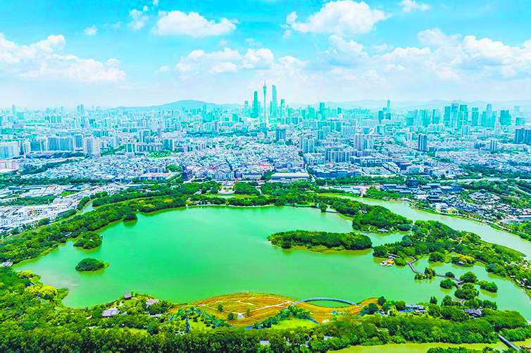 建设美丽广州 打造美丽中国城市样板丨海珠湿地成为国际大都会城央