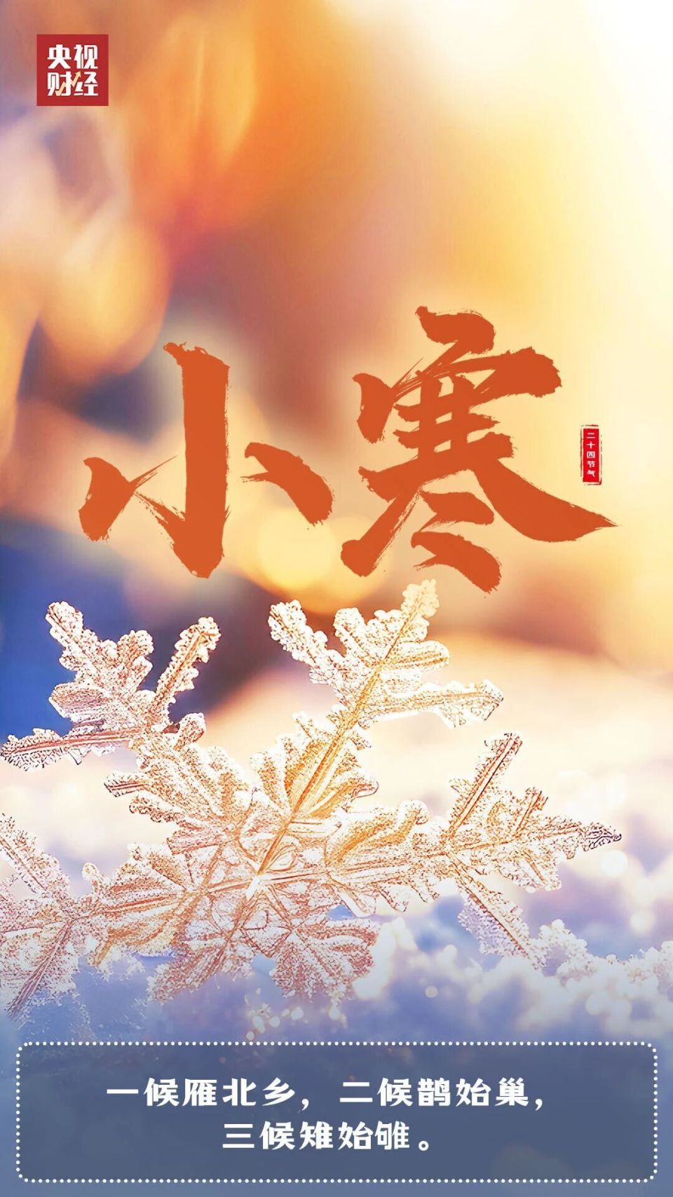 小寒到，吃对才养生！冬季进补避坑指南，快收藏-腾讯新闻