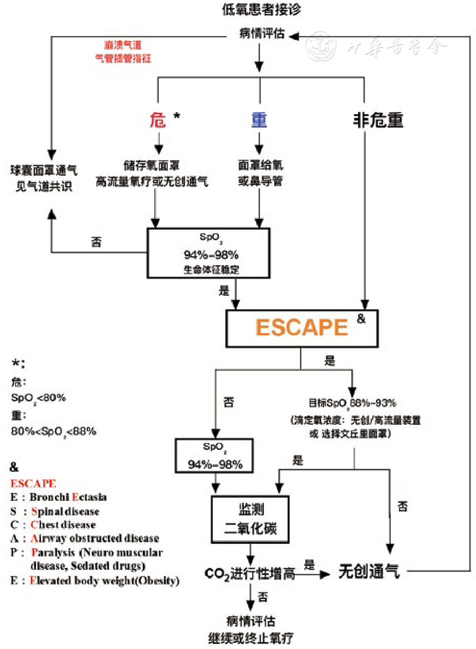 吸氧装置怎么使用鼻导管吸氧最大可以给到多少氧流量？对应多少氧浓度？_https://www.jmylbn.com_新闻资讯_第8张